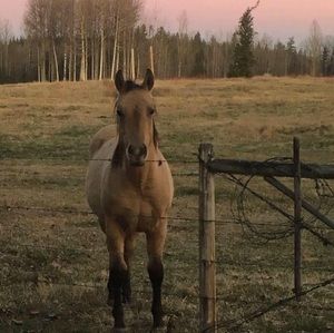 Meet your Posher, Trista